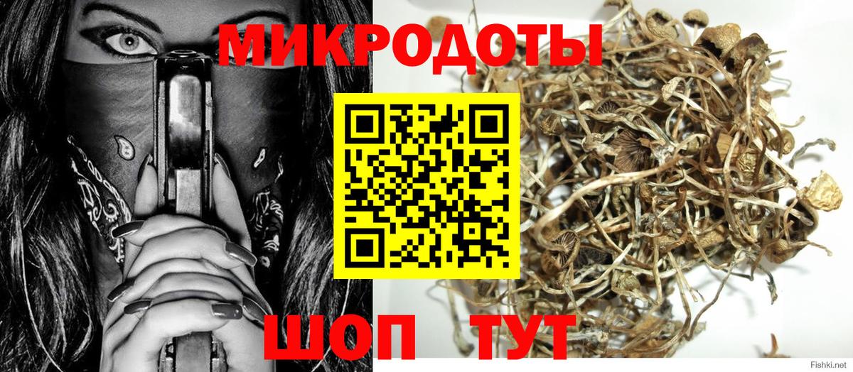 Псилоцибиновые грибы Psilocybe  Галлюциногенные грибы MAGIC MUSHROOMS  Вход с VPN  Абинск 